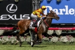T J Smith Stakes hardest hit with scratchings
