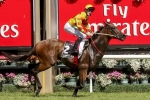 Australian Horse of the year Lankan Rupee to miss Schillaci Stakes