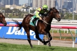 Queen Of The Turf Rather Than Australian Oaks For Solicit