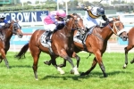 Moody looking for change of luck in Winterbottom Stakes