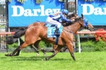 Hard track sees Super Cool out of Caulfield Cup