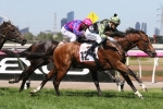 Maher hoping to bank a G1 win with Not A Single Cent in ATC Sires Produce Stakes