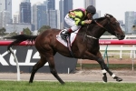 Blackiston Happy With Suavito Ahead Of Orr Stakes Return