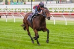 Shamal Wind In Top Form Ahead Of 2014 Robert Sangster Stakes