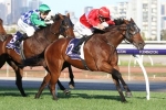 Melbourne Cup campaign is on the cards for VRC St Leger winner Transact