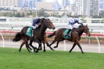 Admiral Primed for 2016 Tasmanian Stakes