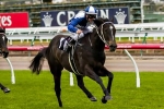 Zebulon To Need Luck In 2014 Caulfield Guineas