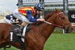 Nature Strip to head to Adelaide for Lightning Stakes