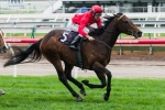 Charlie Boy Trials Well Before Magic Millions Guineas