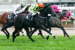 Commanding Jewel Chasing Back-To-Back Let’s Elope Stakes Wins