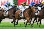 Hasan Looking Ahead To Melbourne Cup With Shoreham