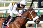 Brambles likely to Miss JRA Cup for Turnbull Stakes