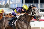 Chautauqua in for good Spring after Bobby Lewis Quality win