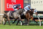 2014 Caulfield Stakes Tips: Fawkner The Horse To Beat