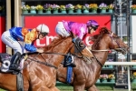 Fifty-five 3yos left in 2014 Caulfield Guineas second acceptances