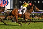 Gatting at the top of 2019 Railway Stakes field