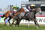 Manikato Stakes 2015: Chautauqua The Best Horse In The Race