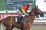 Happy Trails on track for second Turnbull Stakes