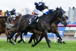 Year Long plan has Fawkner primed for the Caulfield Cup