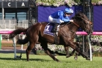 The Bart Cummings winner Avilius survives protest to gain Melbourne Cup start