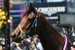 Atlantic Jewel to run out strong 2000m in the Caulfield Stakes