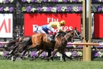 Comin’ Through came through to win the Carbine Club Stakes