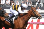 Queen Elizabeth Stakes on the agenda for Gailo Chop