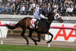 Red Alto heading towards the Queensland Derby