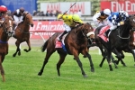 Past Winners Headline 2013 Melbourne Cup Nominations
