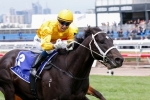 Brazen Beau wins back to back Coolmore Stud Stakes for Waller