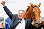 Turnbull Stakes 2015: Beshara Confident Happy Trails Will Win