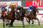 Nozomi to have one more trial before C S Hayes Stakes