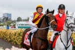 Murtagh hoping Oliver’s luck continues for the Melbourne Cup
