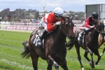Invincible Star out of contention for Golden Slipper