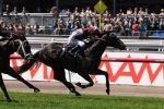 Paximadia leads all of the way to win Carbine Club Stakes