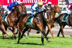 Futurity Stakes Rather Than Oakleigh Plate For Smokin’ Joey