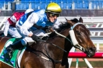 Smokin’ Joey to continue good form in Railway Stakes