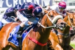 Zoustar to campaign in Sydney Autumn Carnival