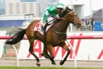 Fiveandahalfstar due for a win in BMW