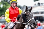 Soft track to help Reckless Russell in Champagne Stakes