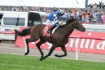 Protectionist Eyes Second Melbourne Cup Win