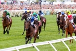 Makybe Diva Stakes 2015: Mutual Regard To Benefit From The Run