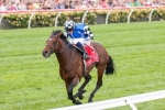 George Main Stakes Rather Than Hill Stakes For Protectionist