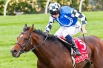 Protectionist draws midfield in Peter Young Stakes