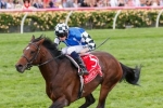 Fawkner failed to run the trip in the Melbourne Cup