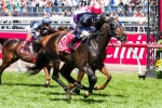 Australian Cup to get the tick for Fiorente