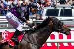 Fiorente to be new weight for age star in the Autumn Carnival