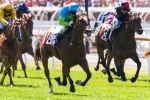 Oakleigh Girl To Contest Calaway Gal Plate Before Magic Millions