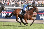 Jameka scratched, Happy Hannah gains a start in Vinery Stud Stakes