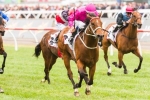 Dystopia Completes Treble For Waller in Mumm Stakes